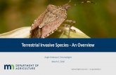 Terrestrial Invasive Species - An Overview€¦ · •Birds vector seed •Crowds out native plants and degrades habitat •Overtakes wooded pastures •Painful spines. Thank you!