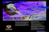 FORENSICS · FORENSIC SCIENCE FORENSICS COMBINED WITH A SOCIAL SCIENCE OR HUMANITIES AREA 1 2 Forensic Sciences are distinguished by the use of science to analyze evidence and solve