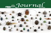 the - CSA Fraternal Life · CSA Journal (ISSN 0195-9050) Published monthly—except bimonthly July/August by CSA Fraternal Life, 2050 Finley Rd., Suite 70, Lombard, IL 60148. Periodical