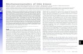 Mechanoenzymatics of titin kinase - JILAjila.colorado.edu/perkins/sites/default/files/pdf... · Mechanoenzymatics of titin kinase Elias M. Puchner†, Alexander Alexandrovich‡,