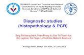 Diagnostic studies (histopathology & PCR) Dang Thi Hoang Oanh, Pham Phong Vu, Dao Thi Thanh Hue, Don