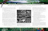 Birds sing the history of the Rainforest · The tropical rainforest birds Today there are more than 200 species of birds living in the tropical rainfor-ests of north Queensland. Thirteen
