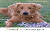 HOMEWARD BOUND GOLDEN RETRIEVER RESCUE ......on proper animal care and on the benefits of, and need for, rescue and sanctuary. In the event of a disaster, Homeward Bound will provide