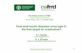 Foot-and-mouth diseases virus type C: the first target for …€¦ · C3/Chaco/PAR/74 C3/Sao Jose dos Campos/BRA/72 C3/Goias/88 C3/Indaial/BRA/71 (K01202) C3/Indaial/BRA/71 (AY593806)