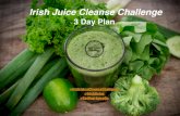 Irish Juice Cleanse Challengejuicecleansechallenge.ie/pdf/Irish Juice Cleanse 3 Day Plan.pdf · Juicing raw vegetables and fruits offers an easy way to get large quantities of the