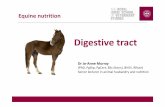 Week 1 - Equine digestive tract - Laminitis HelpEquine Digestive tract •Size – approx. 7 metres long (capacity ~ 150 litres) –~ 60 % of horse’s GIT volume •Three main parts