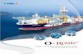 Halogen free & Mud resistant Offshore cable€¦ · Halogen free & Mud resistant Offshore cable NEK-606 | IEC 60092-350, 353, 354, 376