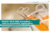 REACH 2018 SME workshop road to successful registration · Practical Guide for SME managers and REACH Coordinators: “How to fulfil your information requirements at tonnages 1-10