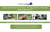 Harvesting Crops For Market · simple, and accessible text for readers in order to reduce misunderstandings, errors, and lack of comprehension. It also helps guide you through action