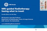 MRI-guided Radiotherapy Seeing what to treat!static.sif.it/SIF/resources/public/files/congr18/vandenBerg.pdf · CE-CT T1w MRI Gd duijn, 2009 T2N2b hypopharynx tumor, Registration