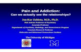 Pain and Addiction - National Institute on Drug Abuse · Behavioral Risk Factors for Opiate Analgesic Requirements in Chronic Pain • Previous or concurrent history of substance