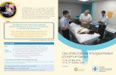 Care of the Critically III Surgical Patient (CCrISP®) 4 · 2018. 3. 8. · Small Group Sessions: A: The unwell surgical patient B: Ward dilemmas C: Pain management D: Respiratory