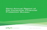 Semi-Annual Report of the Consumer Financial Protection Bureau · 6/18/2014  · and Consumer Protection Act (Dodd-Frank or Dodd-Frank Act).1 The Dodd-Frank Act created the Bureau
