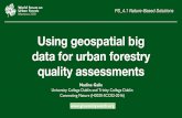 Using geospatial big data for urban forestry quality ... · Using geospatial big data for urban forestry quality assessments Nadine Galle University College Dublin and Trinity College