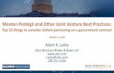 Mentor-Protégé and Other Joint Venture Best Practices · Mentor-Protégé and Other Joint Venture Best Practices: Top 10 things to consider before partnering on a government contract