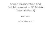 Shape Classification and Cell Movement in 3D Matrix Tutorial …€¦ · shapes. E.g. Convex Shapes/Polygons. •In general non-convex/non-simply connected shapes are more challenging.