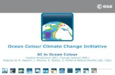 Ocean Colour Climate Change Initiative5... · →train a machine to mimic a human‘seye/brain for cloud detection Eumetsat IAVISA Study, 2008 ... – Constructing the training data