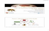 Gilles San Martin Can we immunise honey bees against virulent …australianbeecongress.com.au/presentations2018/Emily... · 2018. 8. 29. · …get rid of mites…? Ways to get rid