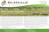 Spectacular Tanzania - bellbirdtours.com€¦ · Tanzania birding & wildlife tour ITINERARY Day 0: (19 Apr). Arrival in Arusha, Tanzania. Arrive at Kilimanjaro Int’l air-port, transfer