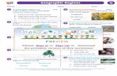 Geographic Regions C - NewPathWorksheets · © Copyright MMXVI NewPath Learning. All Rights Reserved. Permission is granted for the purchaser to make copies for non-commercial educational