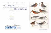 Plate by Andy Birch - Surfbirds.com Articles/dowitchers1005/DowitcherTalke.ppt.pdf · Figure 9. A) Long-billed Dowitcher in fresh-alternate plumage at Anahuac National Wildlife Refuge,