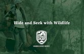 Hide and Seek with Wildlife - dwr.virginia.govHide and Seek with Wildlife. Wildlife is all around us and often they can see us even when we can’t see them. On the following slides