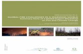IUFRO Occasional Paper No. 32 GLOBAL FIRE CHALLENGES …5. ADDRESSING THE CHALLENGES OF FUTURE FIRE REGIMES 36 5.1. Towards global fire governance 36 5.2. Gathering fire information
