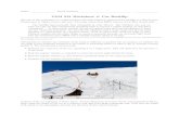TAM 212 Worksheet 4: Car Back ip - University Of Illinois · ip in a Mini Cooper Countryman in Tignes, France, last year. The press release from BMW (owners of the Mini brand) said:
