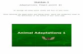 Ms. Flores' Class · Web viewStation 1 Adaptations Power-point #1 Go through the power-point slides and fill in your notes. After watching the power-point and taking notes, match