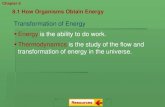 Transformation of Energy Energy is the ability to do work ...kellywms.weebly.com/uploads/5/4/9/0/54901139/chapter_8_and_9_notes.pdfTransformation of Energy Energy is the ability to