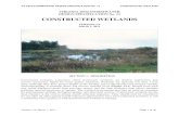 DEQ BMP Spec No 13 CONSTRUCTED WETLAND Final Draft v1-9 … · 2020. 3. 3. · 1. Constructed wetland basin – Level 1 design 2. Constructed multi-cell wetland – Level 2 design