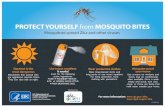 California Department of Public Health Document Library...PROTECT YOURSELF from MOSQUITO BITES Mosquitoes spread Zika and other viruses Daytime is the most dangerous Mosquitoes that