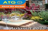 Vegie planting Cascading plants Flowering natives Autumn ... mag10.pdf · Mediterranean origins. Bright, colourful blooms appear for most of the year and an exposed site can help