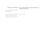 Determinants of congenital anomalies in Afghanistan · 2.3. The burden of congenital anomalies ... Screening for genetic disorders and prenatal diagnosis ..... 31 5.3. Tertiary prevention
