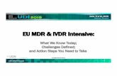 EU MDR & IVDR Intensive - udiconference.com · 6/6/2019  · The UDI Carrier(Annex VI, Part C) “…is the means of conveying the UDI by using AIDC and, if applicable, its HRI.”