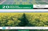 20 TIPS FOR PROFITABLE CANOLA20 TIPS FOR PROFITABLE CANOLA | 3 Jun Jul Aug Sep Oct Nov Dec Tip 12. Control post emergent weeds p.22 Tip 13. Apply post-sowing nutrition as required