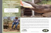 South Africa’s First Dedicated Elephant Orphanage · acceptance of the herd to wild orphaned elephants. With the growing numbers of orphans and displaced elephant calves in recent