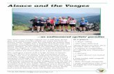 Alsace and Vosges and Vosges.pdf• 7 days’ riding • 325 miles (520 km) •Daily distances from 36 to 60 miles (56 to 96 km) • 8 nights in comfortable 3*** family run ’character’