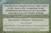 The Brazilian Atlantic Forest: How much is left, how is ...€¦ · The Brazilian Atlantic Forest: How much is left, and how is the remaining forest distributed? Implications for