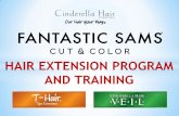 HAIR EXTENSION PROGRAM AND TRAINING · suit Fantastic Sams business model 2 pieces per package of T-Hair Fantasy. All other T-Hair lengths have 10 pieces per package Cinderella Hair