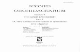 ISSN 0188-4018 lCONES ORCHlDACEARUM Fascicle 4 THE GENUS EPIDENDRUM Part 3 "A Third Century of New Species in Epidendrum" Eric Hágsater CONTRIBUTORS TO FASClCLE 4 Authors: Eric H