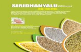 SIRIDHANYALU(Millets) Food that healshealthymillets.in/wp-content/uploads/2018/12/... · triglycerides, PCOD, low sperm count, skin diseases, kidney and thyroid related disorders,