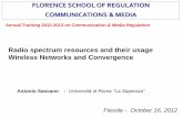 Radio spectrum resources and their usage Wireless ......Radio spectrum resources and their usage Wireless Networks and Convergence Annual Training 2012-2013 on Communication & Media