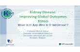 Kidney Disease: Improving Global Outcomes KDIGO · • KDIGO’s core mission = Development, dissemination and implementation of Guidelines • Guideline Updates • Evidence based