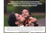 New Infant and Early Childhood Mental Health (IECMH): What the … · 2019. 12. 4. · What is the Diagnosis and Classification System of Infancy and Early Childhood Mental Health:DC:0-5