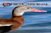 Devoted to the Study and Appreciation of Ohio’s Birdlife • Vol ......On the cover: Black-bellied Whistling-Duck. One was present in a quarry in Bluffton, Allen, from about 10 Oct