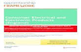 FR01897 - Consumer Electrical and Electronic Products · 2019. 11. 25. · Consumer Electrical and Electronic Products (England) IMPORTANT NOTIFICATION FOR ALL APPRENTICESHIP STARTS