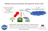 Global measurements of isoprene from CrISacmg.seas.harvard.edu/presentations/IGC9/talks/...Global measurements of isoprene from CrIS Kelley Wells, Dylan Millet, Dejian Fu, Vivienne