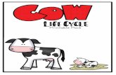 Cow Life Cycle Printable Pack€¦ · Information Cards bull cow Adult males are called bulls. They are much more muscular than cows. They have thicker bones and larger feet. Bull