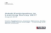 Adult Participation in Learning Survey 2017 - gov.uk · learning loan (such as a Student Loan, Advanced Learner Loan or Career Development Loan) to pay for their learning (8%). Adult